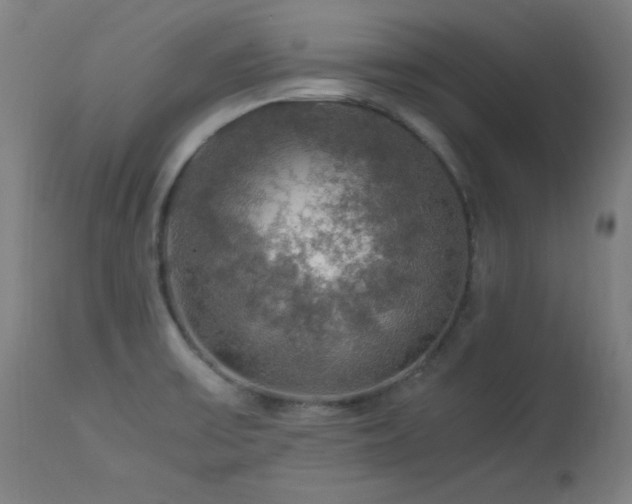 X0000114171475200910081511