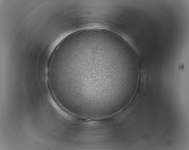X0000114171476200910081511