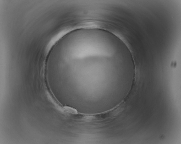 X0000114171477200910081511
