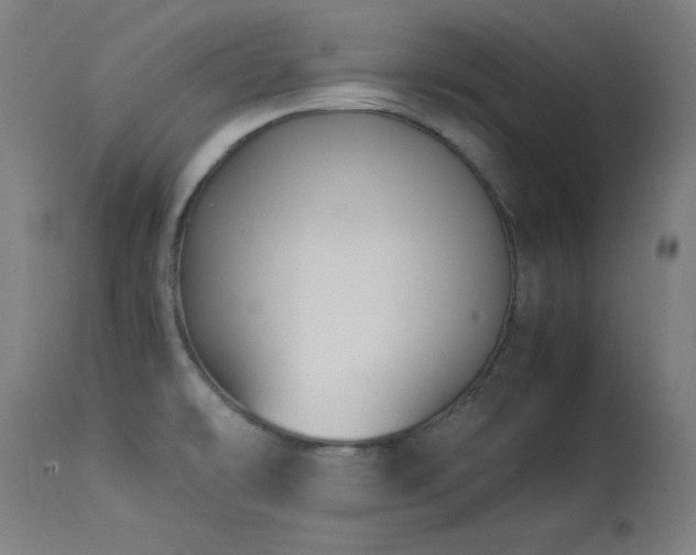 X0000114171478200910081511