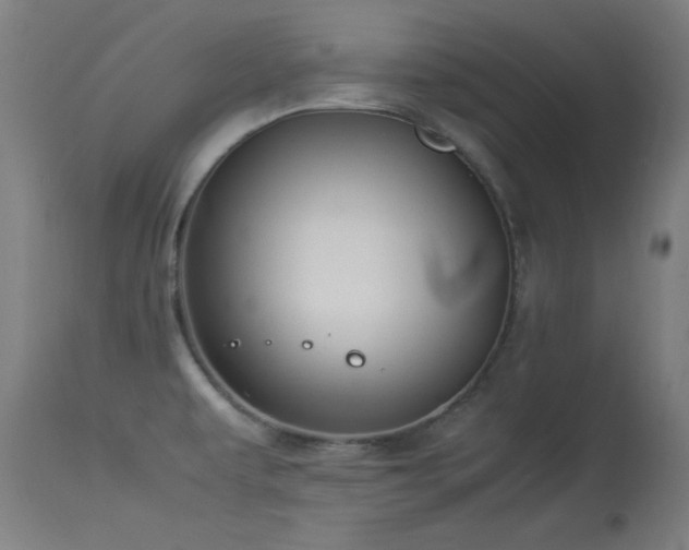 X0000114171479200910081511