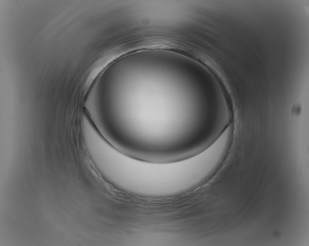 X0000114171481200910081511