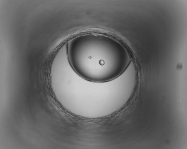 X0000114171496200910081510