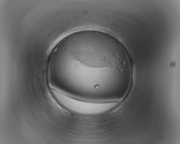 X0000114171500200910081510