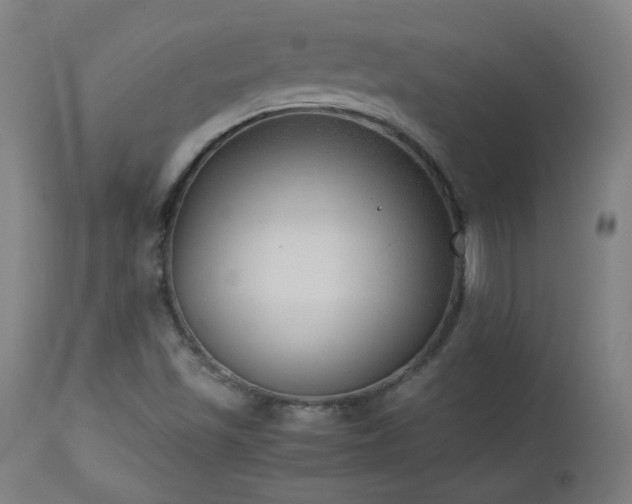 X0000114171501200910081510