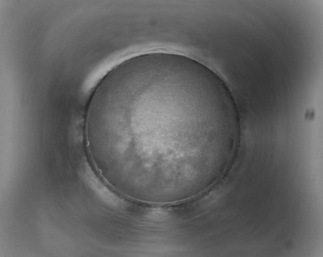 X0000114171504200910081510