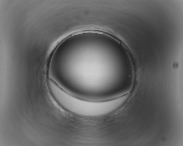 X0000114171508200910081510