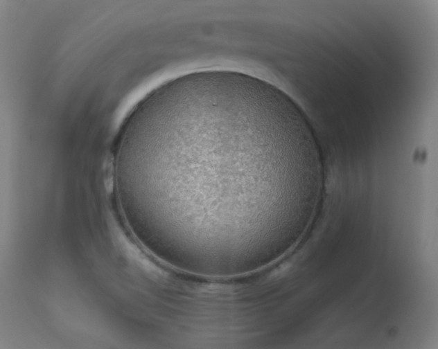 X0000114171510200910081510