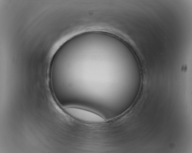 X0000114171512200910081510