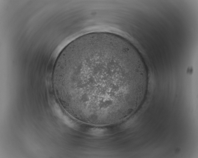 X0000114171513200910081510