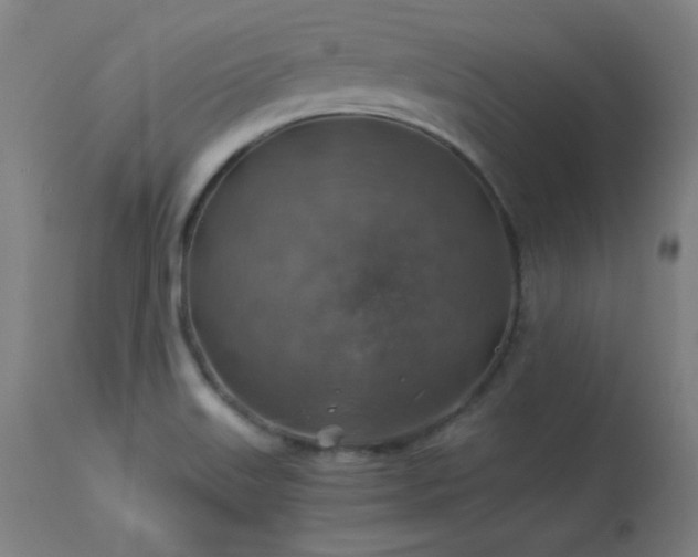 X0000114171515200910081510