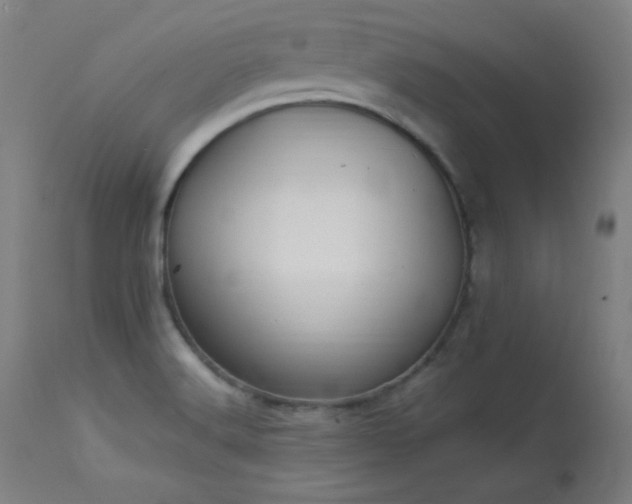 X0000114171516200910081510