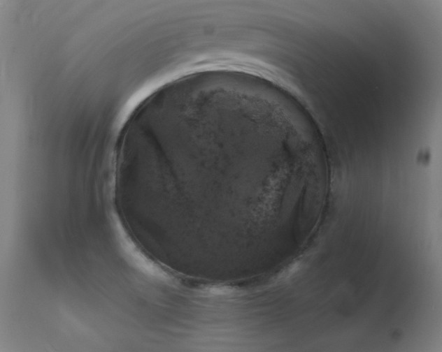 X0000114171522200910081510
