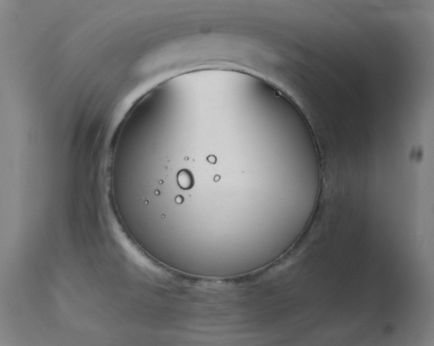 X0000114171526200910081510