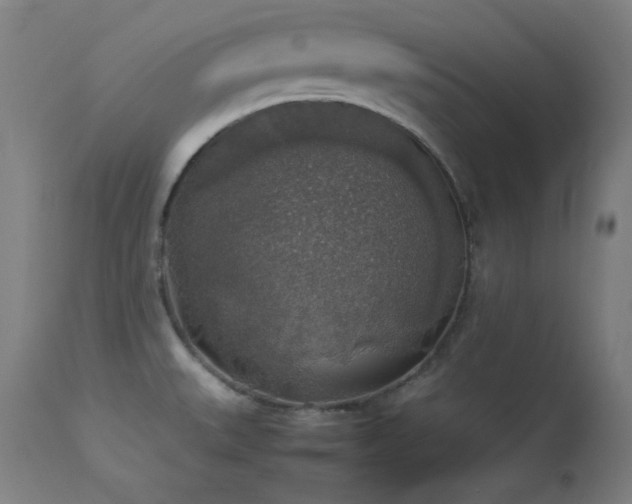X0000114171527200910081510