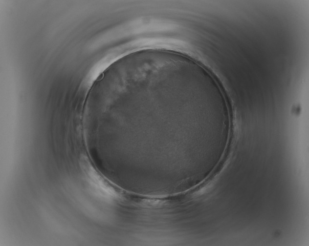 X0000114171529200910081510
