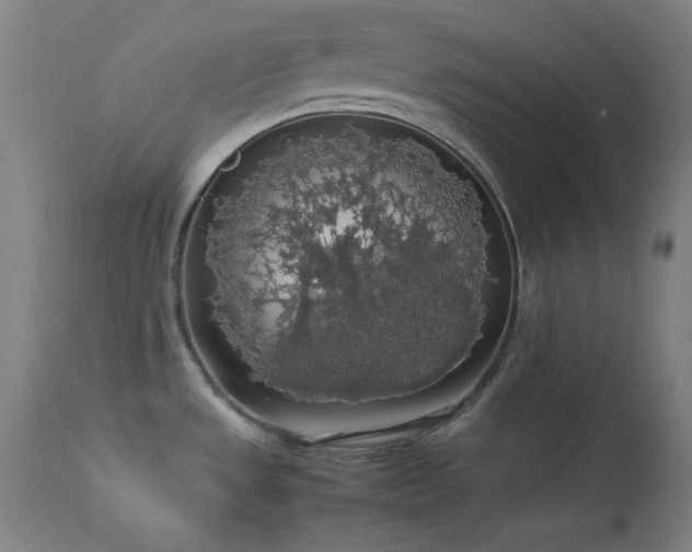 X0000114171533200910081510