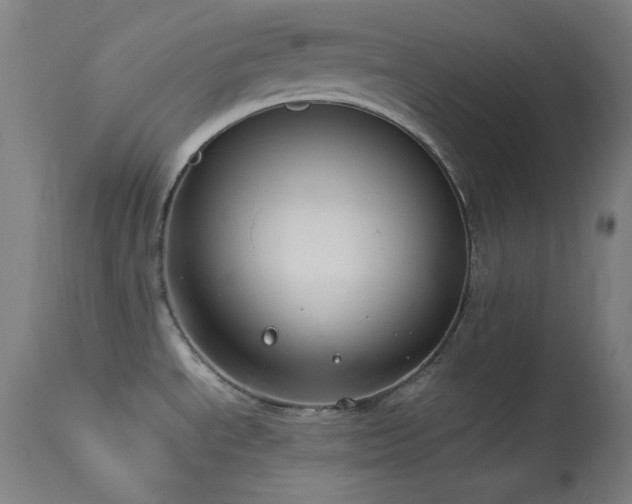X0000114171534200910081510
