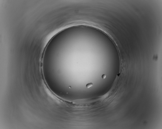 X0000114171535200910081510
