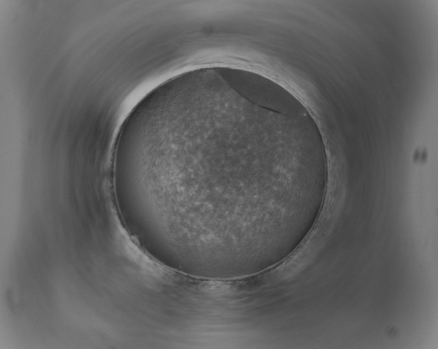 X0000114171536200910081510