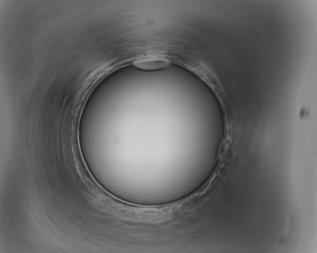 X0000114170001200910151648