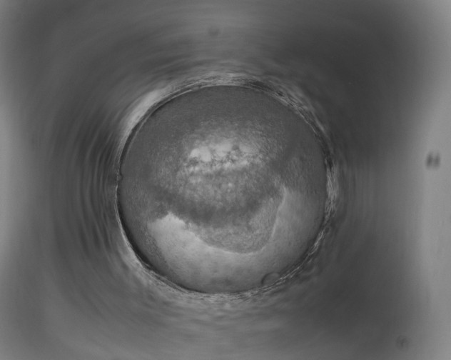 X0000114170003200910151648