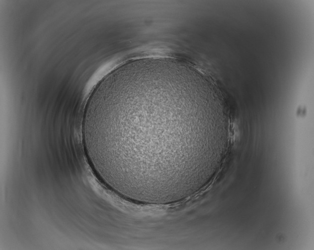 X0000114170004200910151648