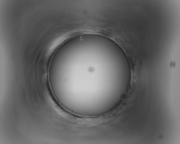 X0000114170005200910151648