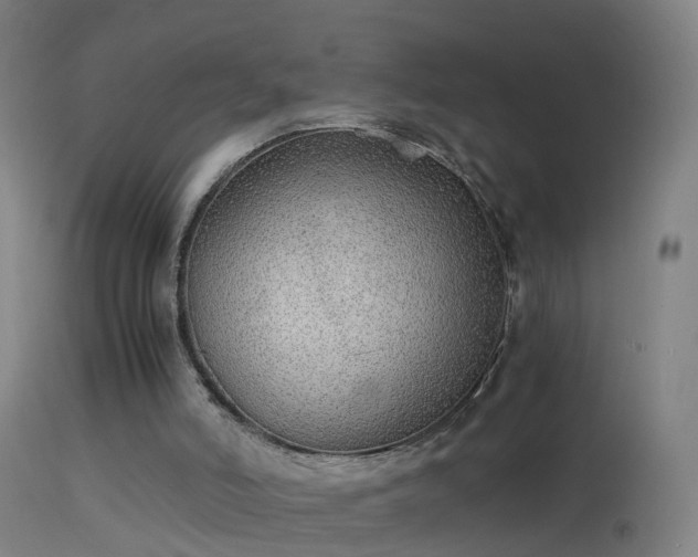 X0000114170006200910151648