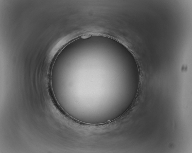 X0000114170007200910151648