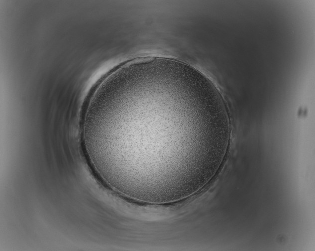 X0000114170008200910151648