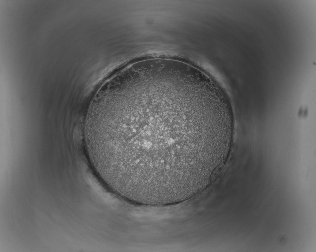 X0000114170009200910151648