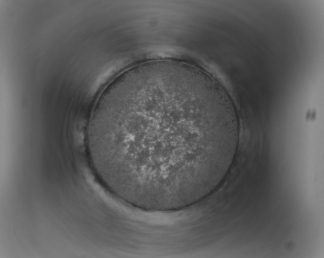 X0000114170010200910151648