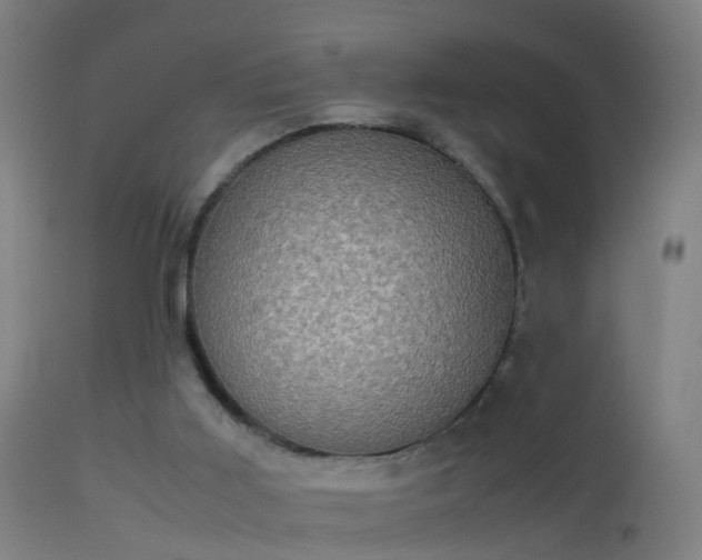 X0000114170011200910151648