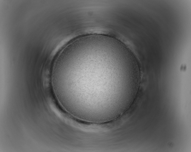 X0000114170012200910151648