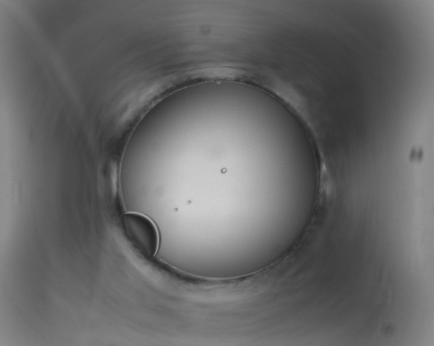 X0000114170013200910151648