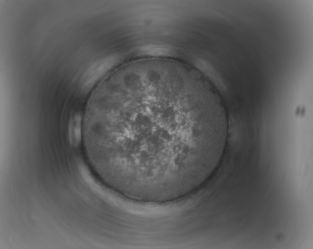 X0000114170014200910151648