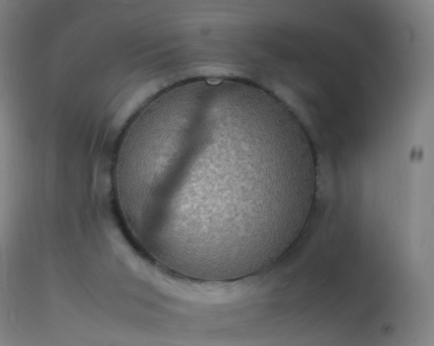 X0000114170015200910151648