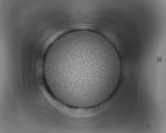 X0000114170016200910151647