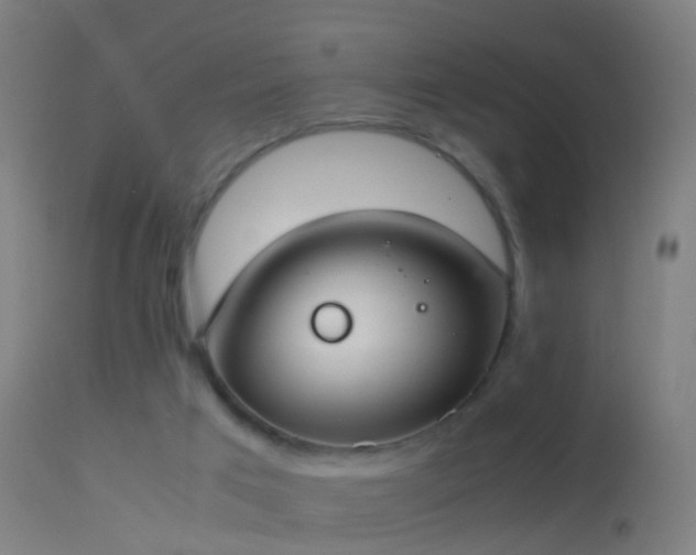 X0000114170017200910151647