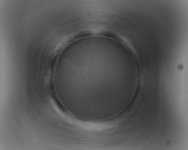 X0000114170018200910151647