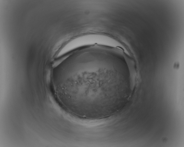 X0000114170019200910151647