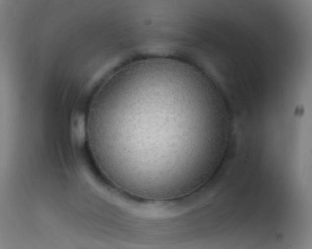 X0000114170020200910151647