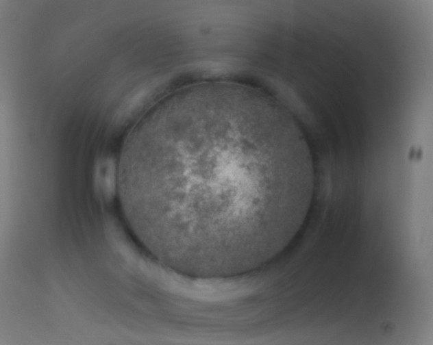 X0000114170022200910151647