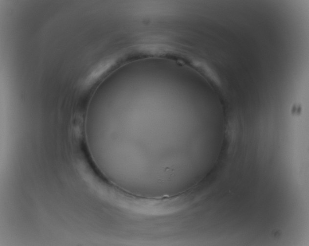 X0000114170023200910151647