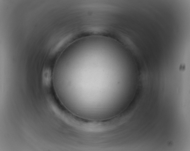 X0000114170024200910151647