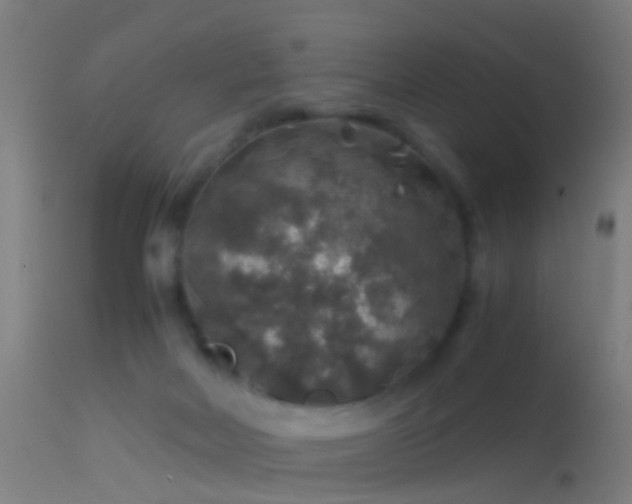 X0000114170026200910151647