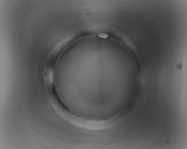 X0000114170027200910151647