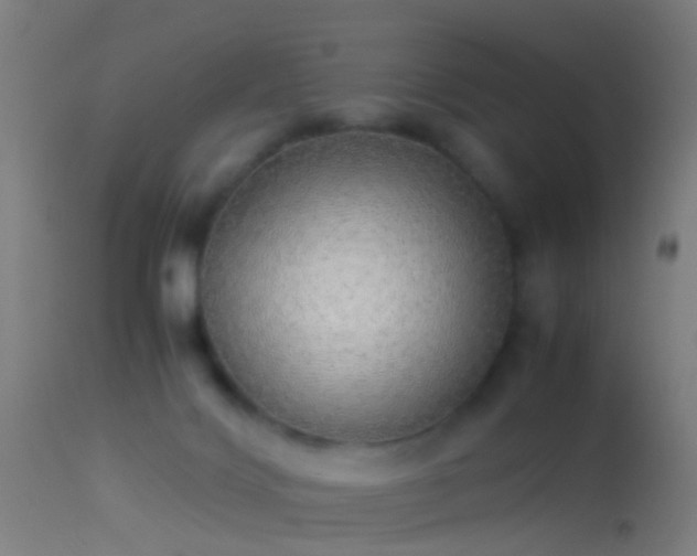 X0000114170028200910151647