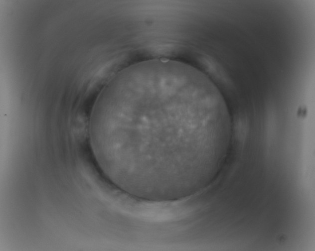 X0000114170029200910151647